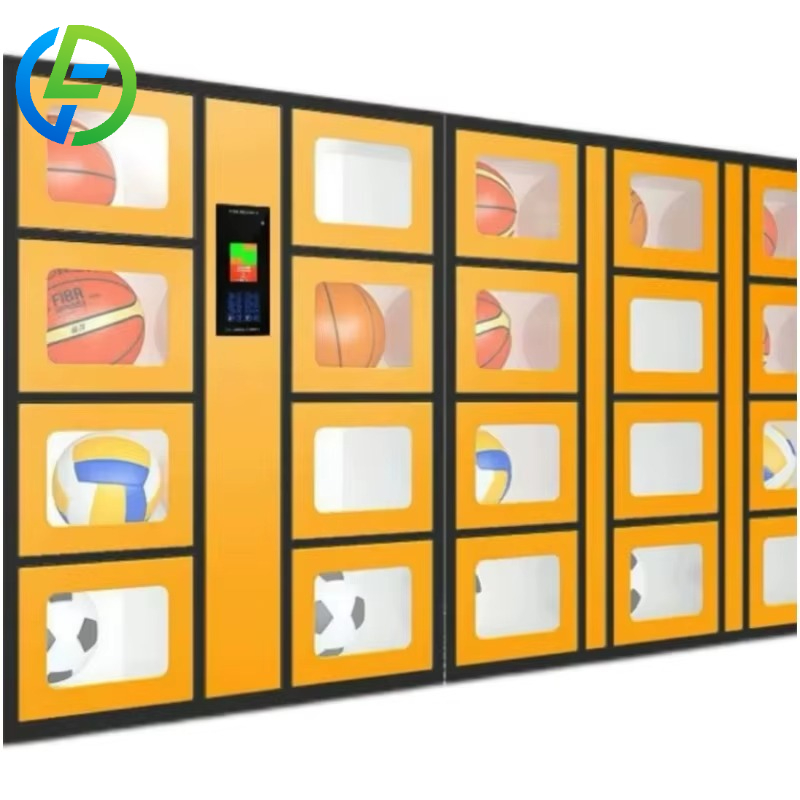 Customize 24-hour Smart Sports - đánh giá và giá Sports Equipment Locker