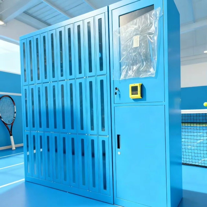 Custom High-quality Club Gym S - đánh giá và giá Sports Equipment Locker