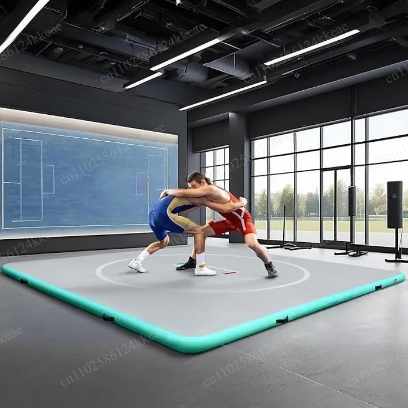 Professional Inflatable Air Tr - đánh giá và giá Tumbling Air Track